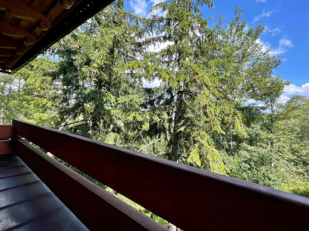 Willa Wojciechowo Zakopane Buitenkant foto